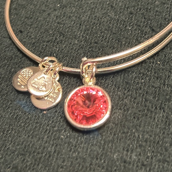 Alex & Ani Bangle Bar Pink Tourmaline October Birthstone Bangle Bracelet - Picture 3 of 14